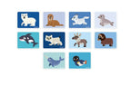 JANOD MAGNETI'BOOK - POLAR ANIMALS