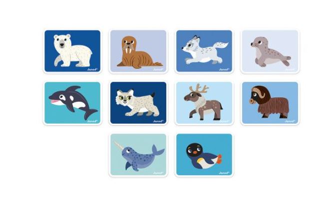 JANOD MAGNETI'BOOK - POLAR ANIMALS