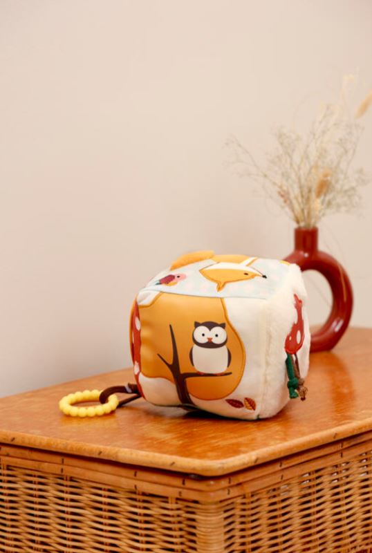 LITTLE BIG FRIENDS - CUBE D'ÉVEIL FORET MULTICOLORE EN TISSU
