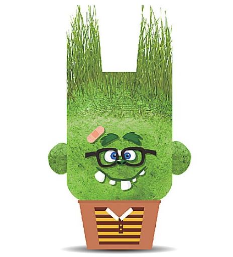 PLANTS PALS - FRIEND HEAD MONSTER (GRASS HEADS) ASST