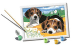 PAINT BY NUMBERS CREART RAVENSBURGER - JACK RUSSELL PUPPIES - 7" X 10" SMALL