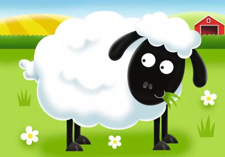 RAVENSBURGER CASSE-TÊTE 2,3,4,5 PIÈCES - MY FIRST PUZZLES - ON THE FARM #07302