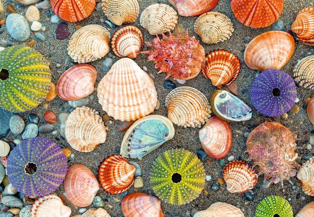 RAVENSBURGER JIGSAW PUZZLE 300 PIECES - PUZZLE MOMENTS: SEASIDE #12001326