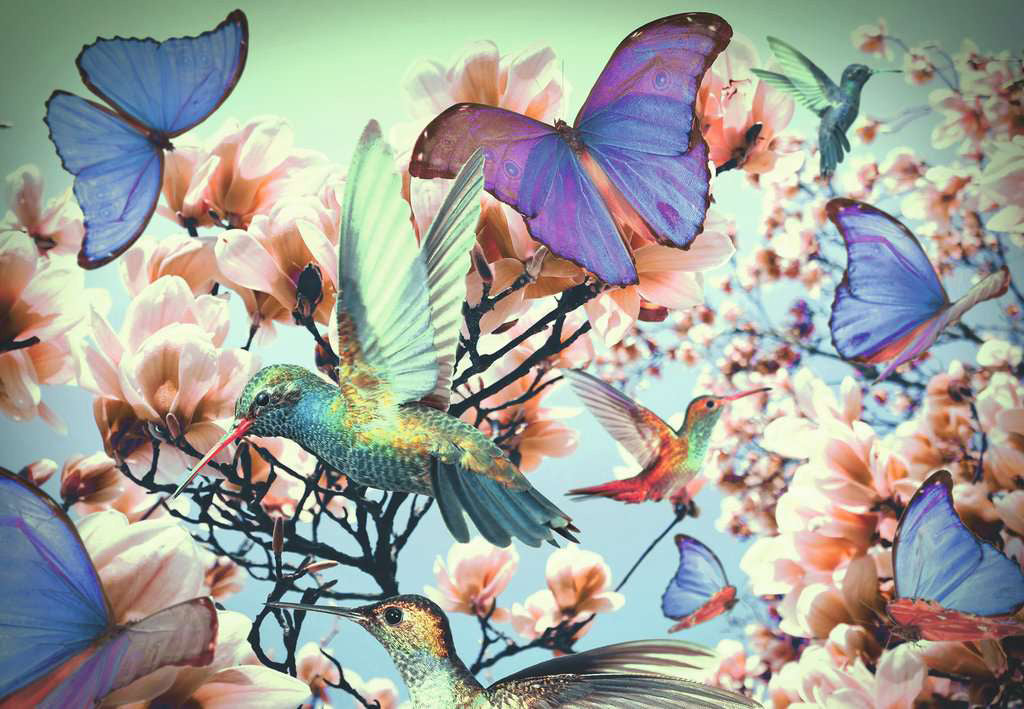 RAVENSBURGER CASSE-TÊTE 300 PIÈCES - PUZZLE MOMENTS - COLIBRI #12969