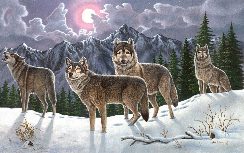ADULT LARGE PAINT BY NUMBERS - WOLVES