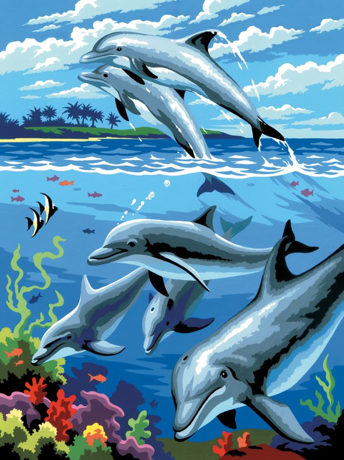 PEINTURE À NUMÉROS JUNIOR - DAUPHINS
