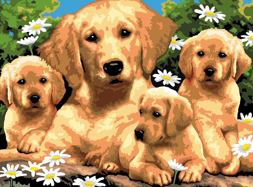 PEINTURE À NUMÉROS JUNIOR LARGE - GOLDEN RETRIEVER ET CHIOTS