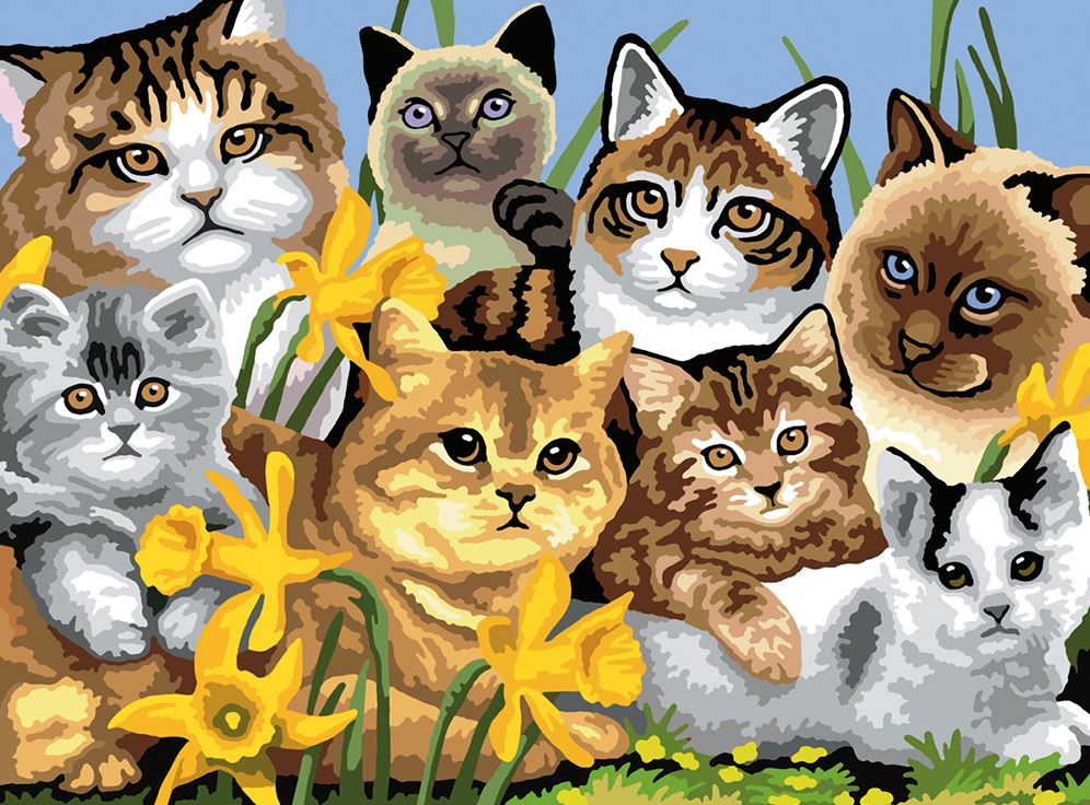 PAINT BY NUMBERS JUNIOR LARGE - CAT GROUP