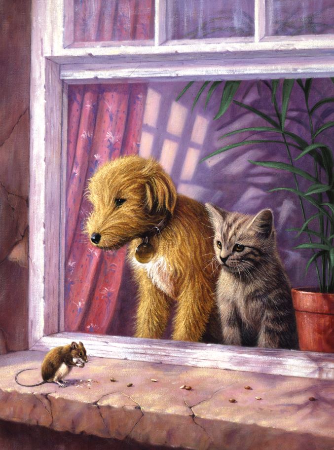 JUNIOR PAINT BY NUMBERS - LOOKING OUT THE WINDOW