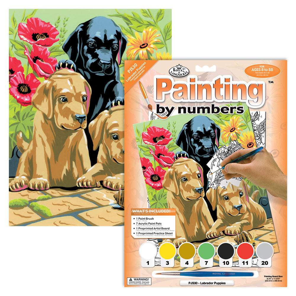 PEINTURE À NUMÉROS JUNIOR SMALL - CHIOTS LABRADOR