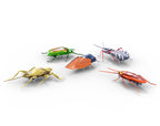 HEXBUG NANO - 5 PACK OF CRAZY BUGS