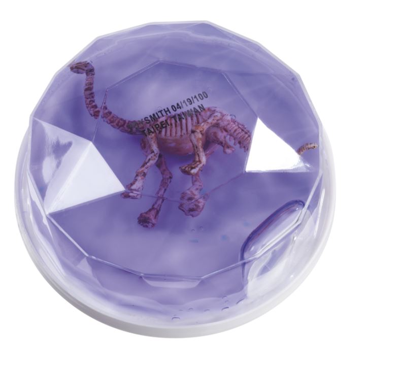 DINOSAUR FOSSIL GLUE ASST