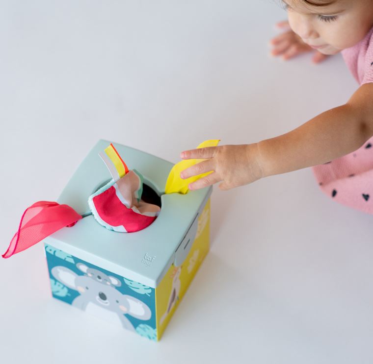 TAF TOYS - BOÎTE À MOUCHOIRS KIMMY LE KOALA