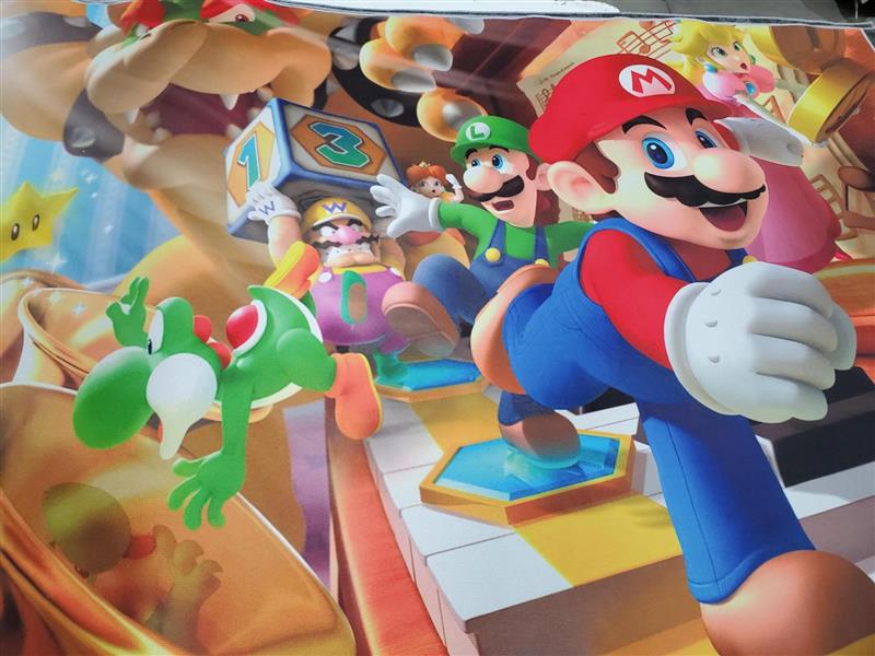 BEDROOM RUG - GAME ROOM - MARIO BROS THE RESCUE RACE
