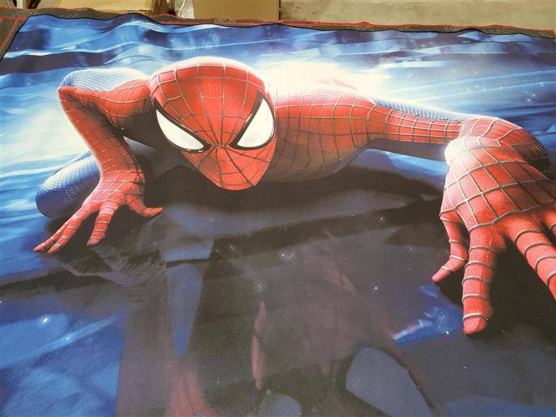 BEDROOM RUG - PLAYROOM - SPIDER-MAN ASST