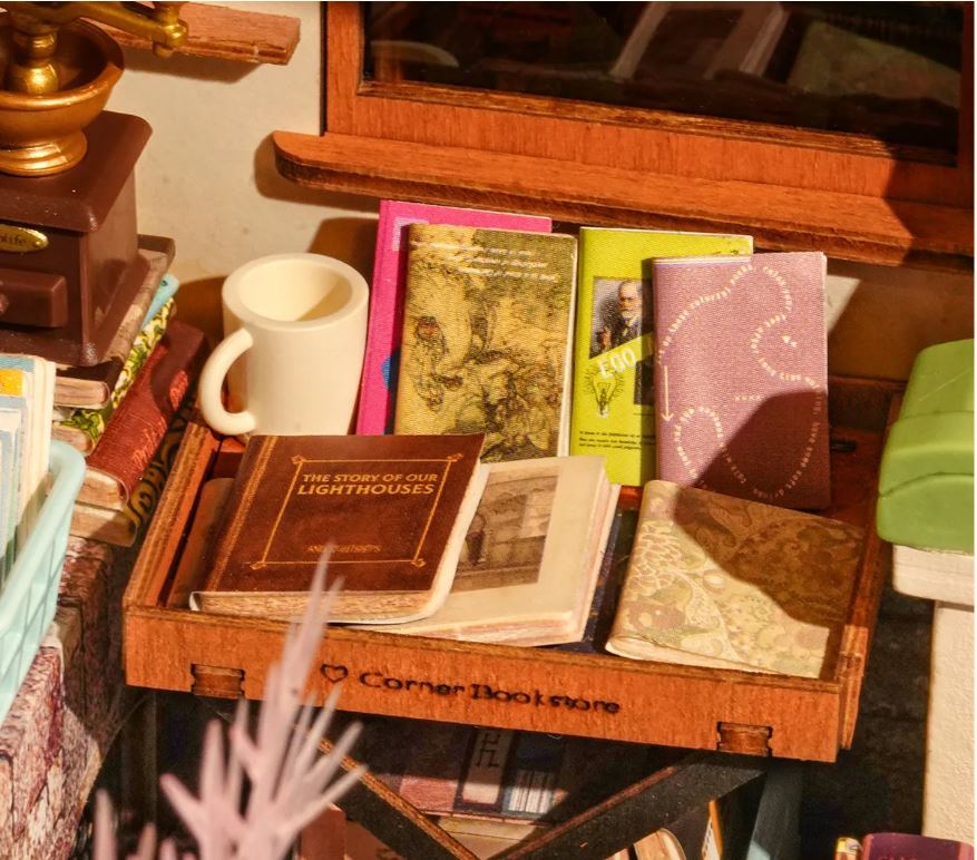 MAISON DE BRICOLAGE DIY - LIBRAIRIE DU COIN