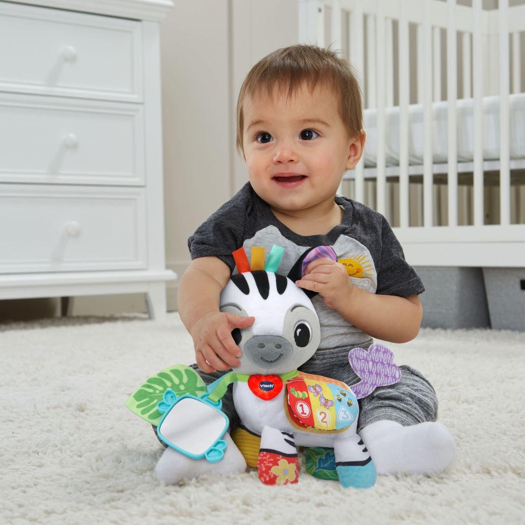 VTECH - TIMÉO P'TIT ZÈBRE D'ACTIVITÉS