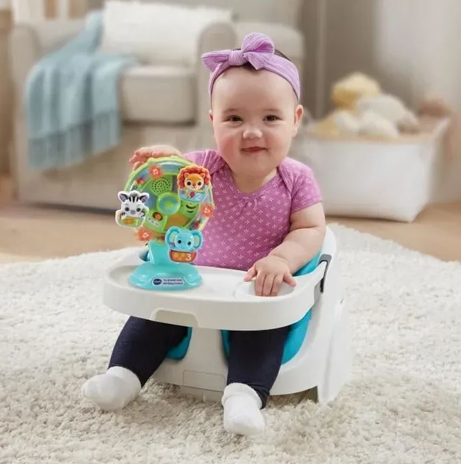 VTECH - LA GRANDE ROUE DES BABY LOULOUS